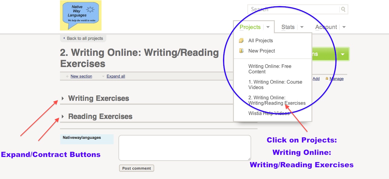 Online writing instruction